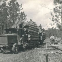 LUMBER/TIMBER, Logging Operations, Loading and Hauling No. 2